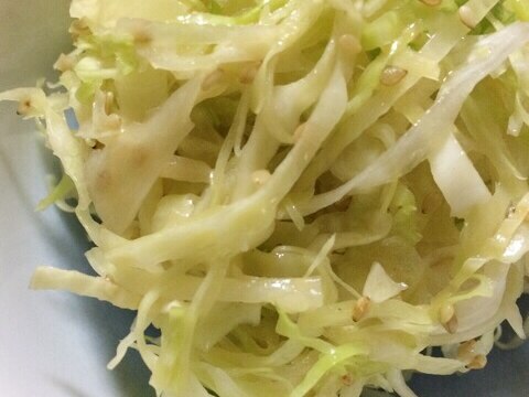 簡単！キャベツと長ネギのごまポン酢和え